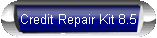 Credit report repair letters with complete instructions for only $35.